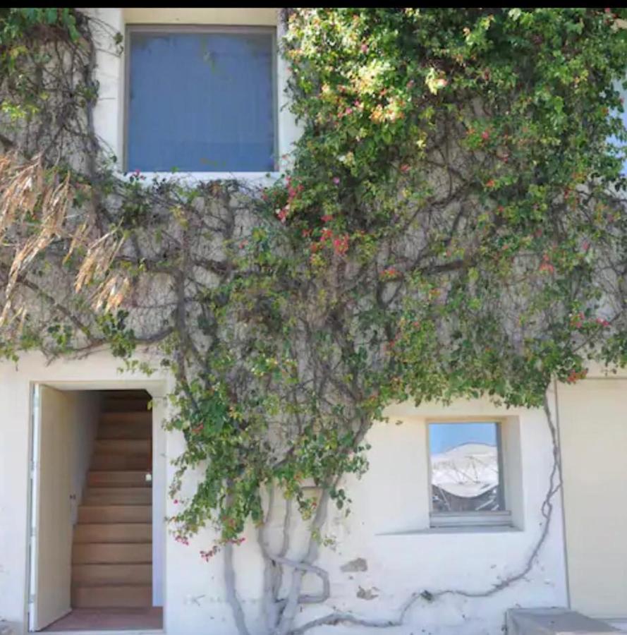 Nova Casa Com Piscina No Convento Das Bernardas Tavira Zewnętrze zdjęcie